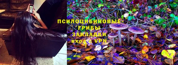 твердый Алзамай