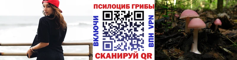 Псилоцибиновые грибы ЛСД  Октябрьск 